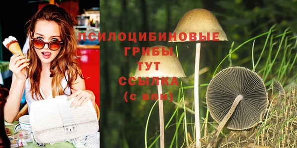 дживик Заводоуковск