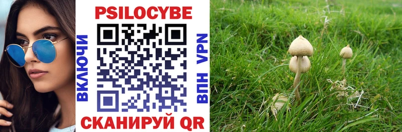 Псилоцибиновые грибы Cubensis  Купить  Ухта 